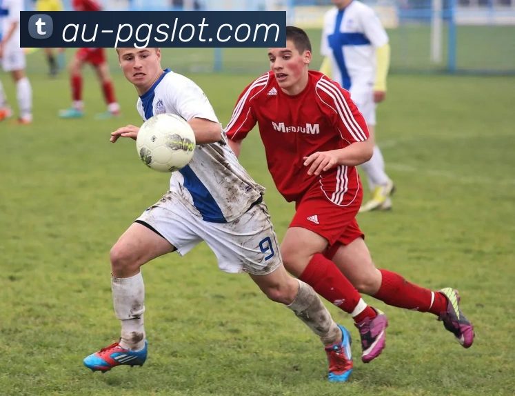 PG麻将胡了官网APP 高清赛事图